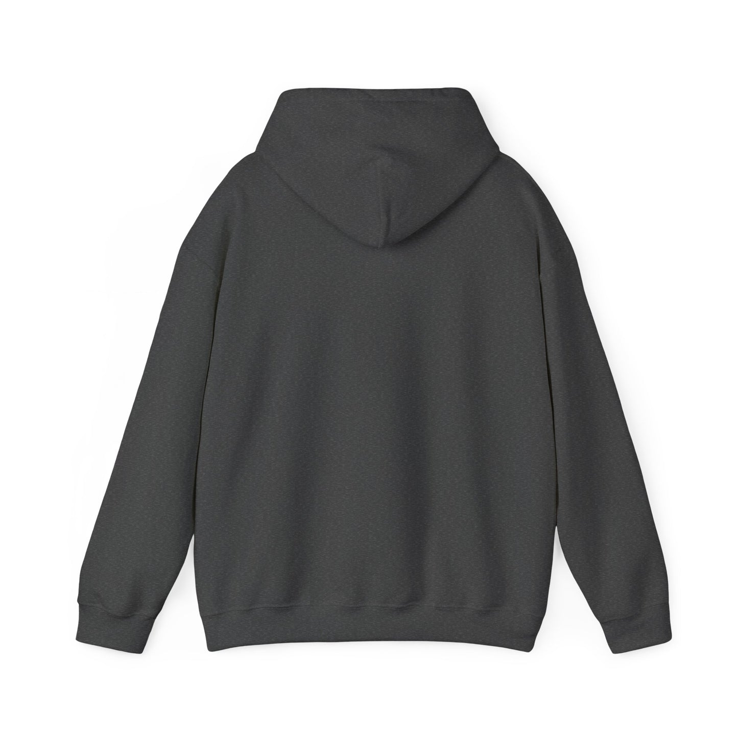 CAMPANE HOODIE