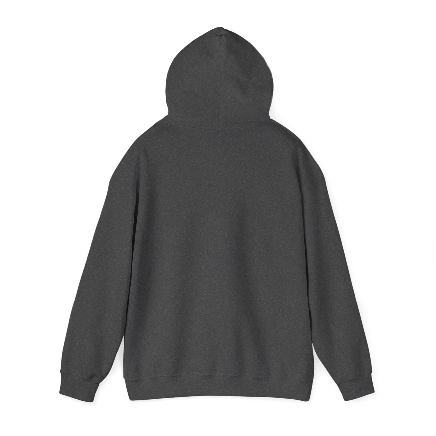 CAMPANE HOODIE